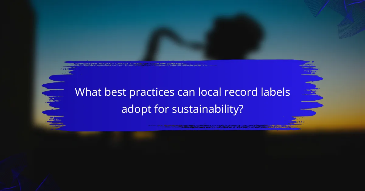 What best practices can local record labels adopt for sustainability?